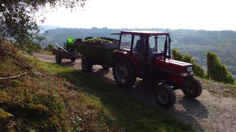 IMG 20170923 151111322