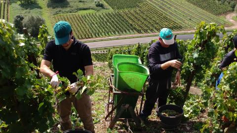 IMG 20170920 135114491