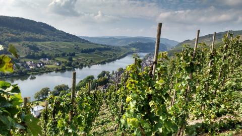 IMG 20170923 141603368 HDR