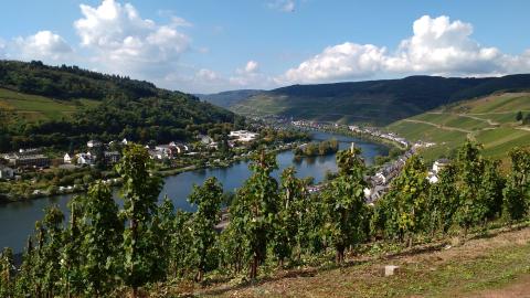 IMG 20170925 144308175