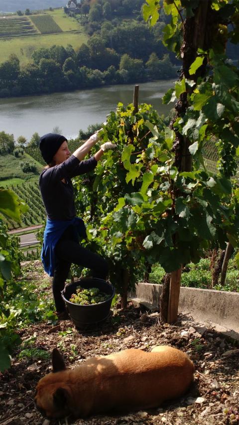 IMG 20170920 135131160