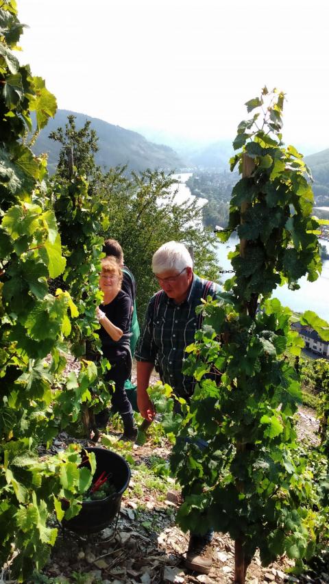 IMG 20170923 141528036