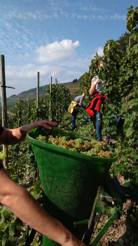 IMG 20170923 141635538